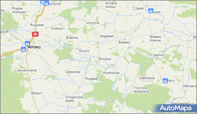 mapa Brzózka gmina Wińsko, Brzózka gmina Wińsko na mapie Targeo