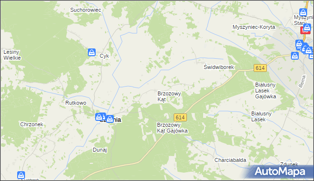 mapa Brzozowy Kąt gmina Czarnia, Brzozowy Kąt gmina Czarnia na mapie Targeo