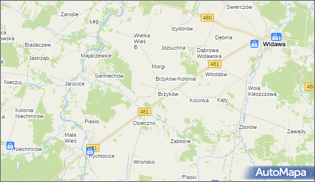 mapa Brzyków gmina Widawa, Brzyków gmina Widawa na mapie Targeo