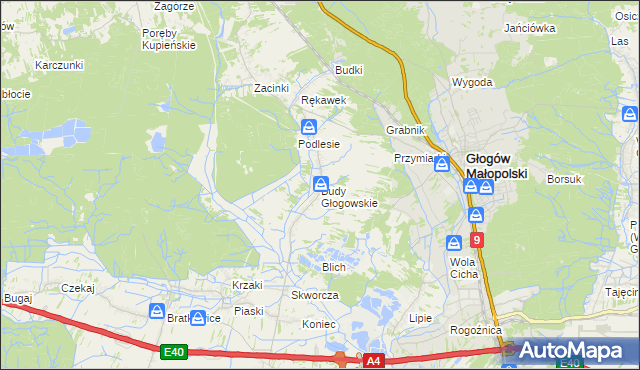 mapa Budy Głogowskie, Budy Głogowskie na mapie Targeo
