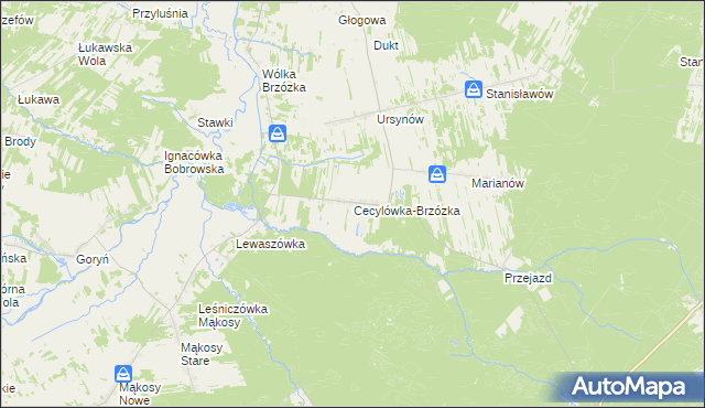 mapa Cecylówka-Brzózka, Cecylówka-Brzózka na mapie Targeo