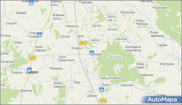 mapa Chodaki gmina Zadzim, Chodaki gmina Zadzim na mapie Targeo