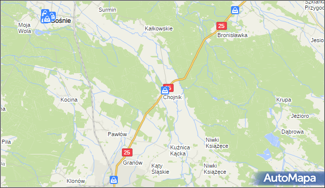 mapa Chojnik gmina Sośnie, Chojnik gmina Sośnie na mapie Targeo