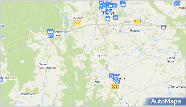mapa Chojniki gmina Nowy Tomyśl, Chojniki gmina Nowy Tomyśl na mapie Targeo