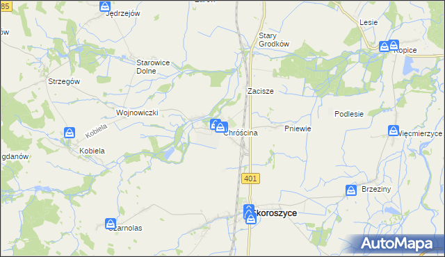 mapa Chróścina gmina Skoroszyce, Chróścina gmina Skoroszyce na mapie Targeo
