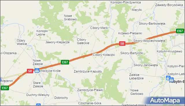 mapa Cibory-Kołaczki, Cibory-Kołaczki na mapie Targeo