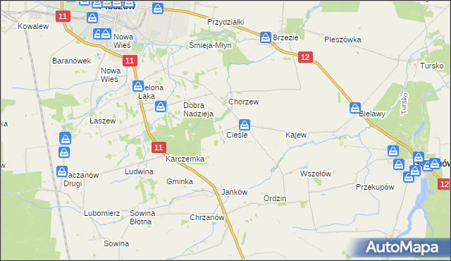mapa Cieśle gmina Gołuchów, Cieśle gmina Gołuchów na mapie Targeo