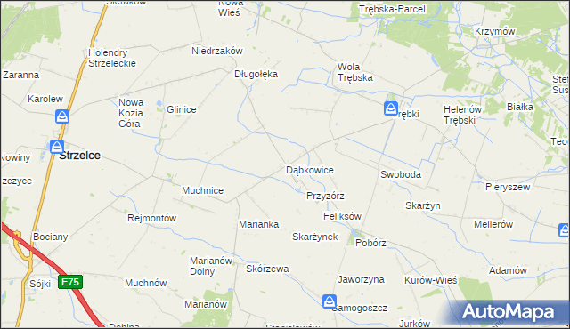 mapa Dąbkowice gmina Strzelce, Dąbkowice gmina Strzelce na mapie Targeo