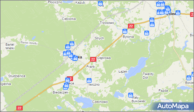 mapa Dąbrowa gmina Kaliska, Dąbrowa gmina Kaliska na mapie Targeo