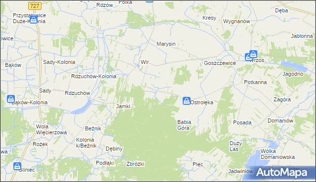 mapa Dąbrowa Goszczewicka, Dąbrowa Goszczewicka na mapie Targeo