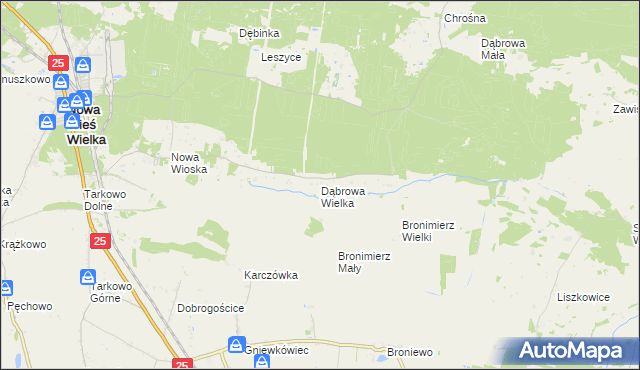 mapa Dąbrowa Wielka gmina Nowa Wieś Wielka, Dąbrowa Wielka gmina Nowa Wieś Wielka na mapie Targeo