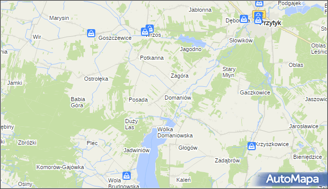 mapa Domaniów gmina Przytyk, Domaniów gmina Przytyk na mapie Targeo