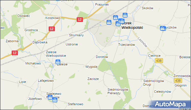 mapa Dorotów gmina Borek Wielkopolski, Dorotów gmina Borek Wielkopolski na mapie Targeo