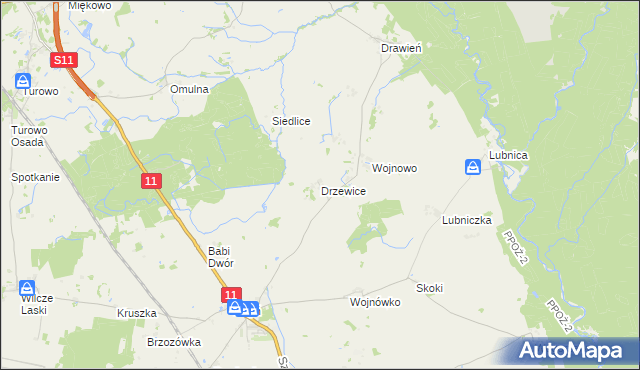 mapa Drzewice, Drzewice na mapie Targeo