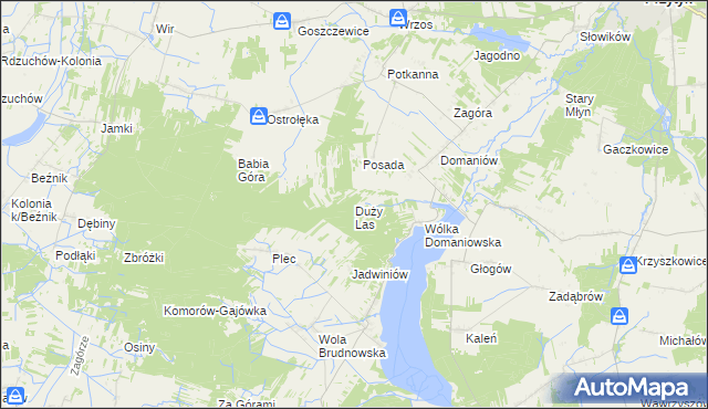 mapa Duży Las gmina Przytyk, Duży Las gmina Przytyk na mapie Targeo