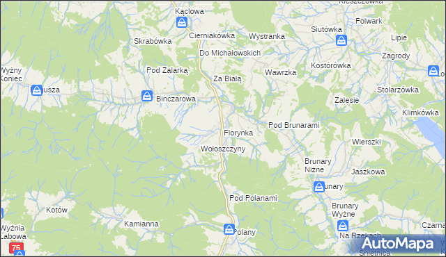 mapa Florynka, Florynka na mapie Targeo