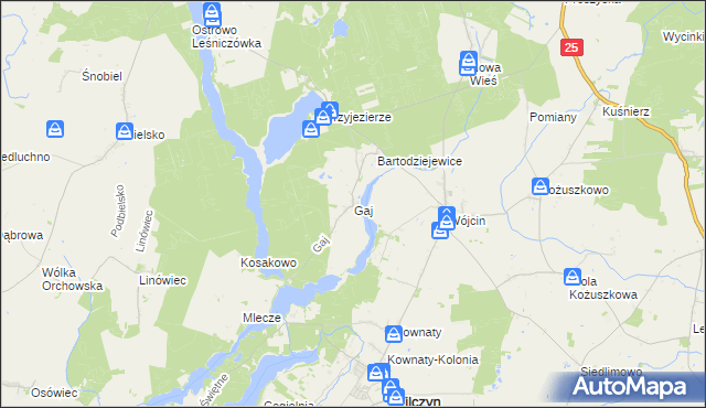 mapa Gaj gmina Jeziora Wielkie, Gaj gmina Jeziora Wielkie na mapie Targeo