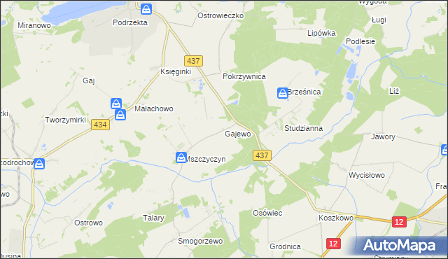 mapa Gajewo gmina Dolsk, Gajewo gmina Dolsk na mapie Targeo