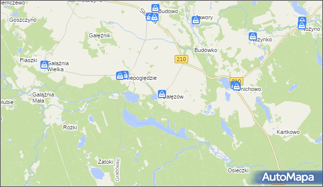 mapa Gałęzów gmina Dębnica Kaszubska, Gałęzów gmina Dębnica Kaszubska na mapie Targeo