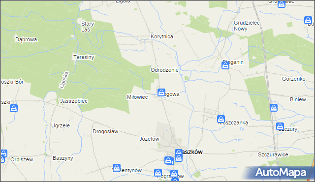 mapa Głogowa gmina Raszków, Głogowa gmina Raszków na mapie Targeo
