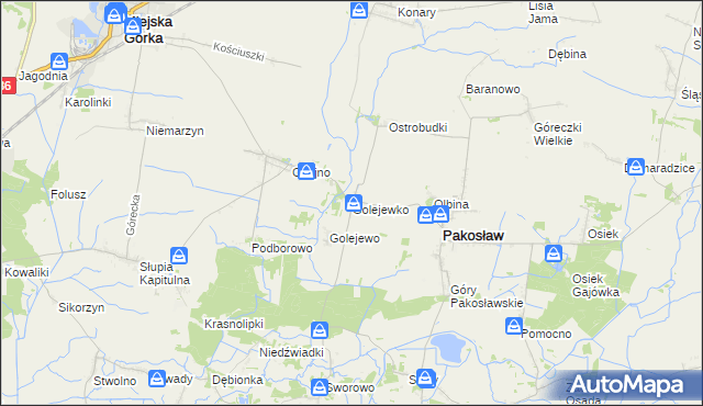 mapa Golejewko, Golejewko na mapie Targeo