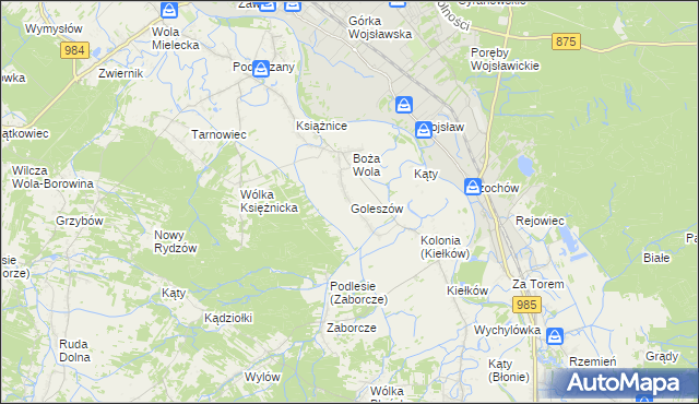 mapa Goleszów gmina Mielec, Goleszów gmina Mielec na mapie Targeo