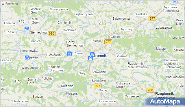 mapa Gromnik powiat tarnowski, Gromnik powiat tarnowski na mapie Targeo