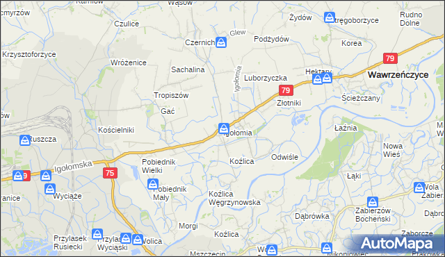 mapa Igołomia, Igołomia na mapie Targeo