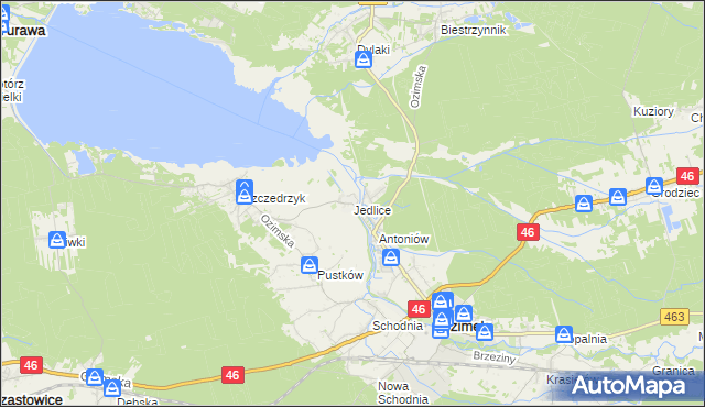 mapa Jedlice gmina Ozimek, Jedlice gmina Ozimek na mapie Targeo