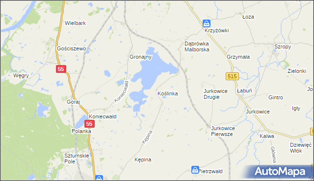 mapa Koślinka gmina Sztum, Koślinka gmina Sztum na mapie Targeo