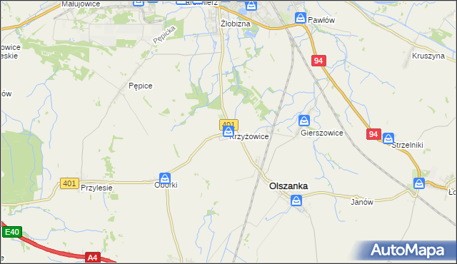 mapa Krzyżowice gmina Olszanka, Krzyżowice gmina Olszanka na mapie Targeo