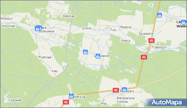 mapa Laskowice gmina Lasowice Wielkie, Laskowice gmina Lasowice Wielkie na mapie Targeo