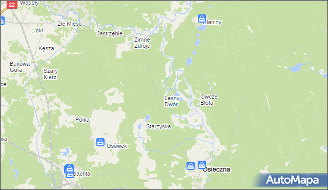 mapa Leśny Dwór gmina Osieczna, Leśny Dwór gmina Osieczna na mapie Targeo