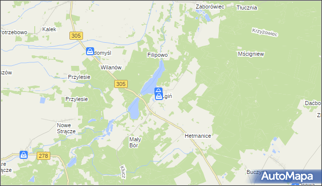 mapa Lgiń, Lgiń na mapie Targeo
