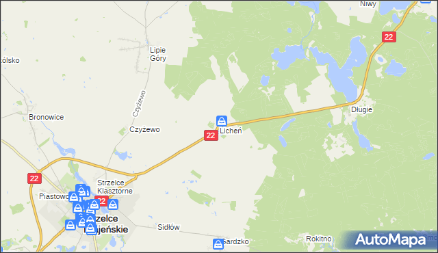 mapa Licheń, Licheń na mapie Targeo