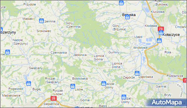 mapa Lipnica Górna gmina Skołyszyn, Lipnica Górna gmina Skołyszyn na mapie Targeo