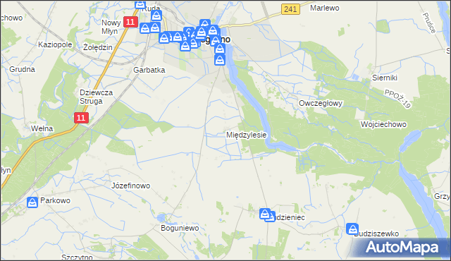 mapa Międzylesie gmina Rogoźno, Międzylesie gmina Rogoźno na mapie Targeo
