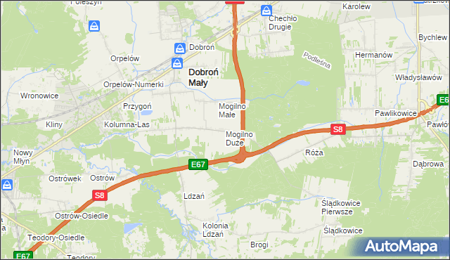 mapa Mogilno Duże, Mogilno Duże na mapie Targeo