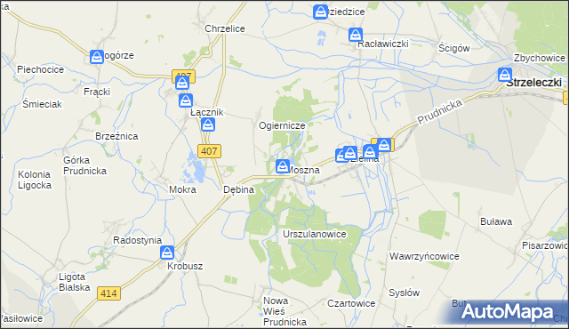 mapa Moszna gmina Strzeleczki, Moszna gmina Strzeleczki na mapie Targeo