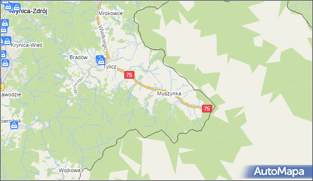mapa Muszynka, Muszynka na mapie Targeo