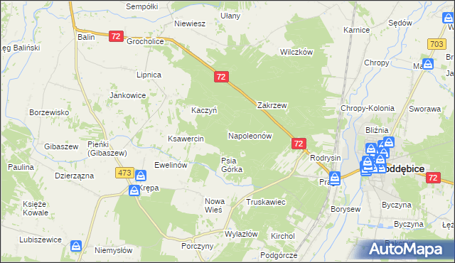 mapa Napoleonów gmina Poddębice, Napoleonów gmina Poddębice na mapie Targeo