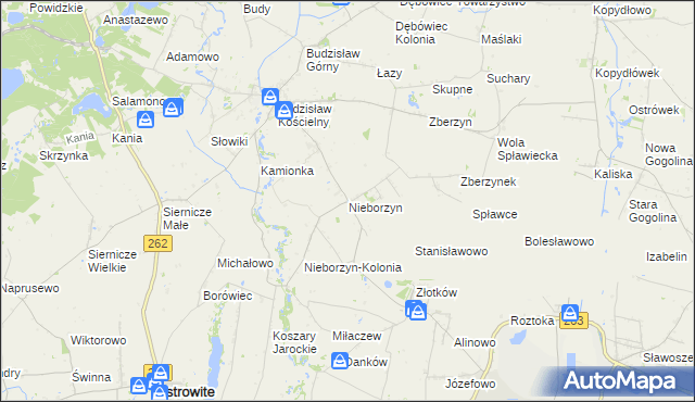 mapa Nieborzyn gmina Kleczew, Nieborzyn gmina Kleczew na mapie Targeo