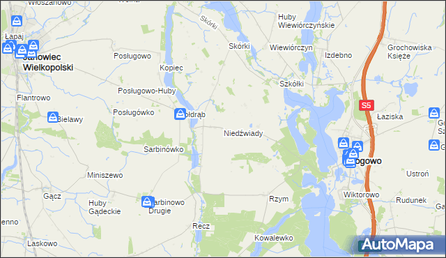 mapa Niedźwiady gmina Rogowo, Niedźwiady gmina Rogowo na mapie Targeo