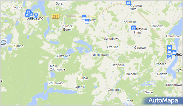 mapa Niesiołowice gmina Stężyca, Niesiołowice gmina Stężyca na mapie Targeo