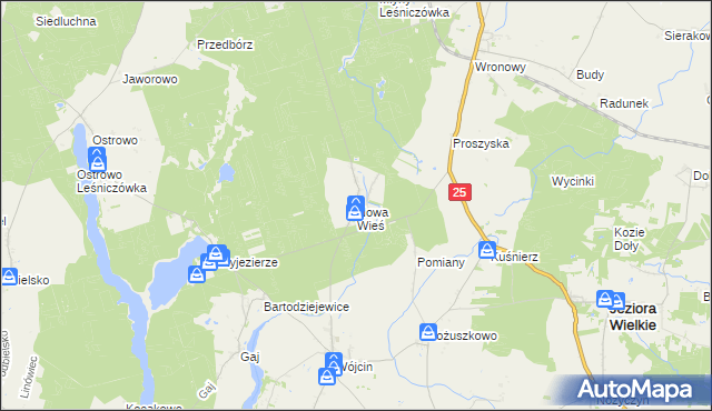 mapa Nowa Wieś gmina Jeziora Wielkie, Nowa Wieś gmina Jeziora Wielkie na mapie Targeo