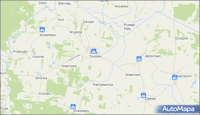 mapa Nowe Dłutowo, Nowe Dłutowo na mapie Targeo