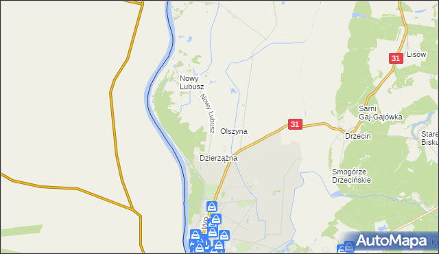mapa Olszyna gmina Słubice, Olszyna gmina Słubice na mapie Targeo
