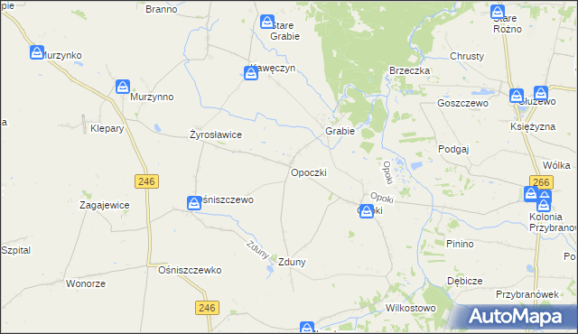 mapa Opoczki, Opoczki na mapie Targeo