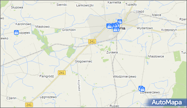 mapa Palmierowo, Palmierowo na mapie Targeo