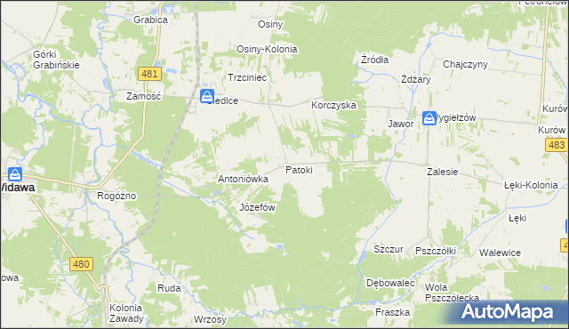 mapa Patoki gmina Widawa, Patoki gmina Widawa na mapie Targeo